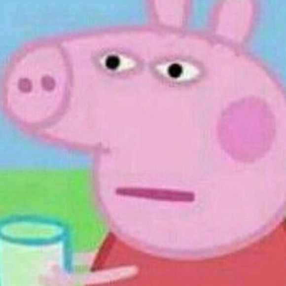 Meet your Posher, Pandy - Picture 1 of 1